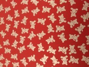 Goma Estampada Ositos Rojo 5004